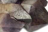 Deep Purple Amethyst Crystal Cluster With Huge Crystals #250746-3